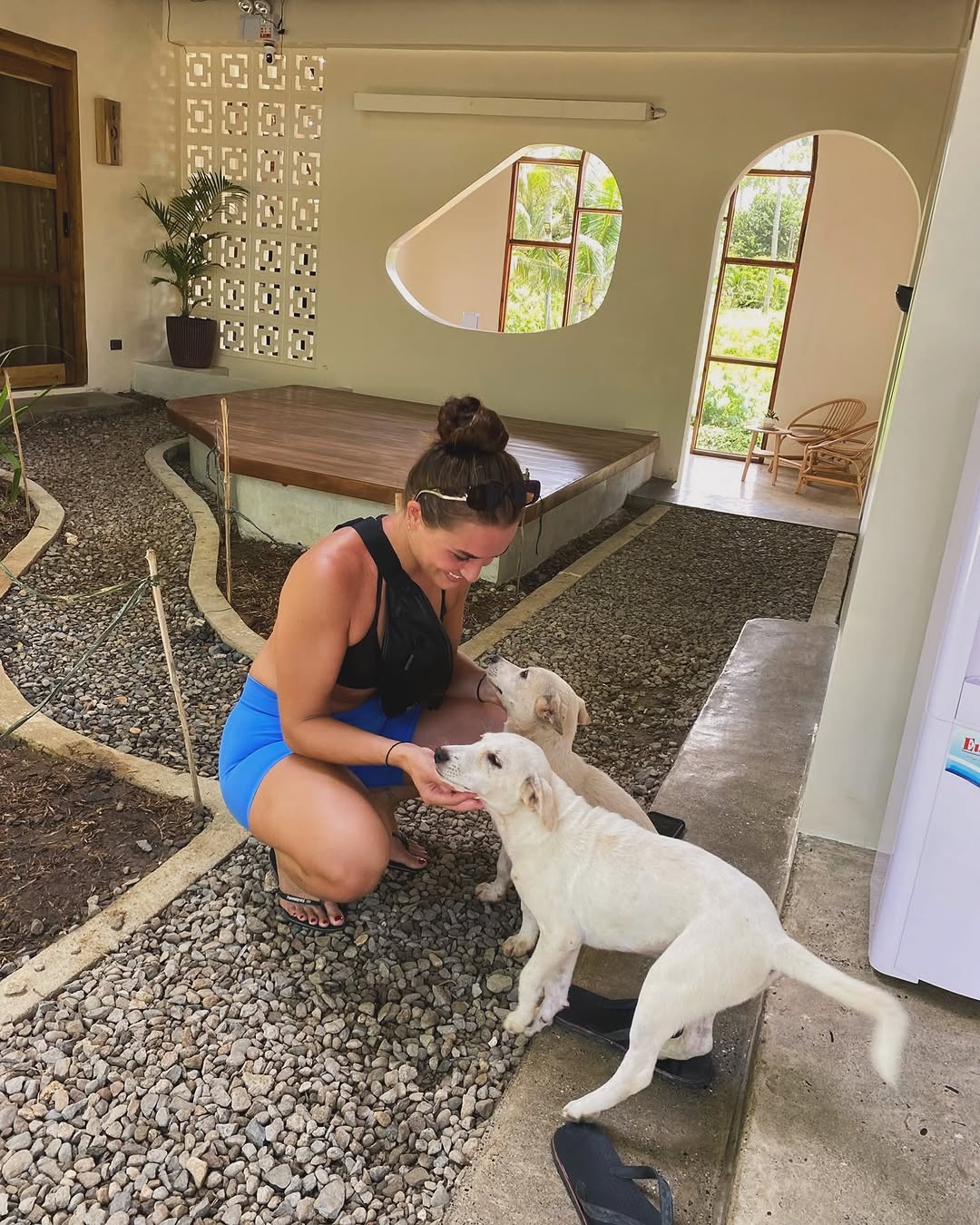Guests with dogs in Siargao